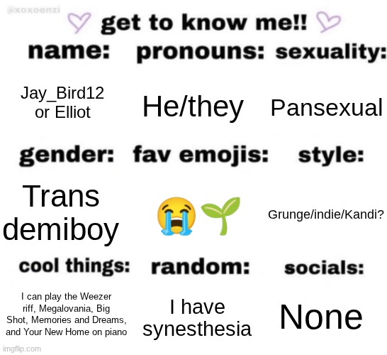 I was bored so yea | Jay_Bird12 or Elliot; He/they; Pansexual; 😭🌱; Grunge/indie/Kandi? Trans demiboy; None; I have synesthesia; I can play the Weezer riff, Megalovania, Big Shot, Memories and Dreams, and Your New Home on piano | image tagged in get to know me but better | made w/ Imgflip meme maker