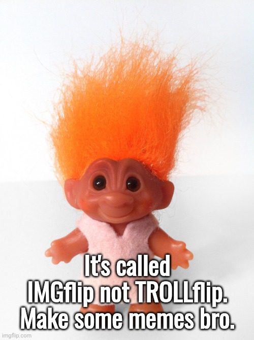 It's called IMGflip not TROLLflip. Make some memes bro. | image tagged in troll doll | made w/ Imgflip meme maker
