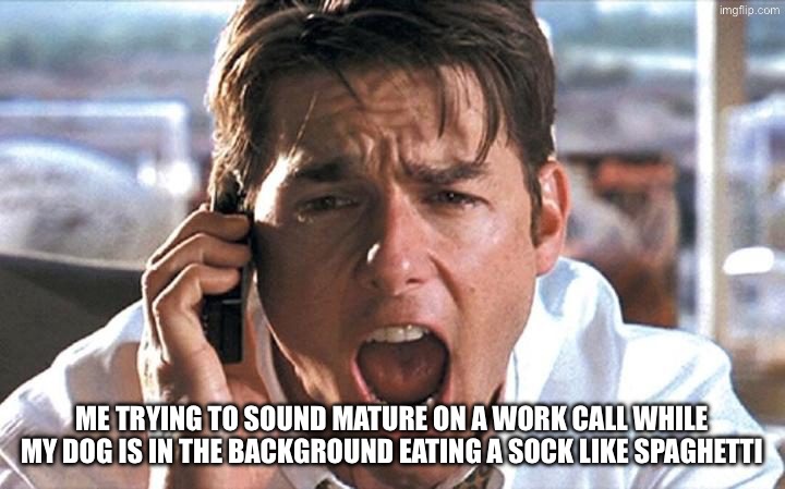 Show Me The Money | ME TRYING TO SOUND MATURE ON A WORK CALL WHILE MY DOG IS IN THE BACKGROUND EATING A SOCK LIKE SPAGHETTI | image tagged in show me the money | made w/ Imgflip meme maker