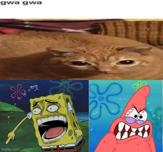 Two words: Gwa gwa | image tagged in gwa gwa,spongebob,patrick,shitpost,funny,bruh | made w/ Imgflip meme maker
