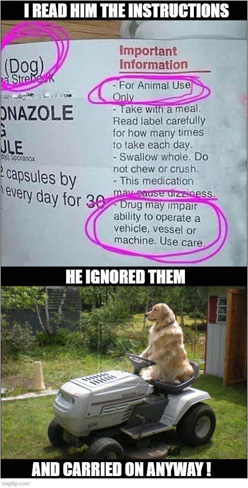 Pills For Dogs | I read him the instructions; He ignored them; and carried on anyway ! | image tagged in dogs,pills,operate,heavy machinery | made w/ Imgflip meme maker