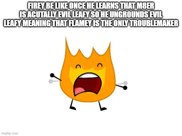 First Meme On here | firey be like once he learns that m8er is acutally evil leafy so he ungrounds evil leafy meaning that flamey is the only troublemaker | image tagged in bfdi,firey | made w/ Imgflip meme maker