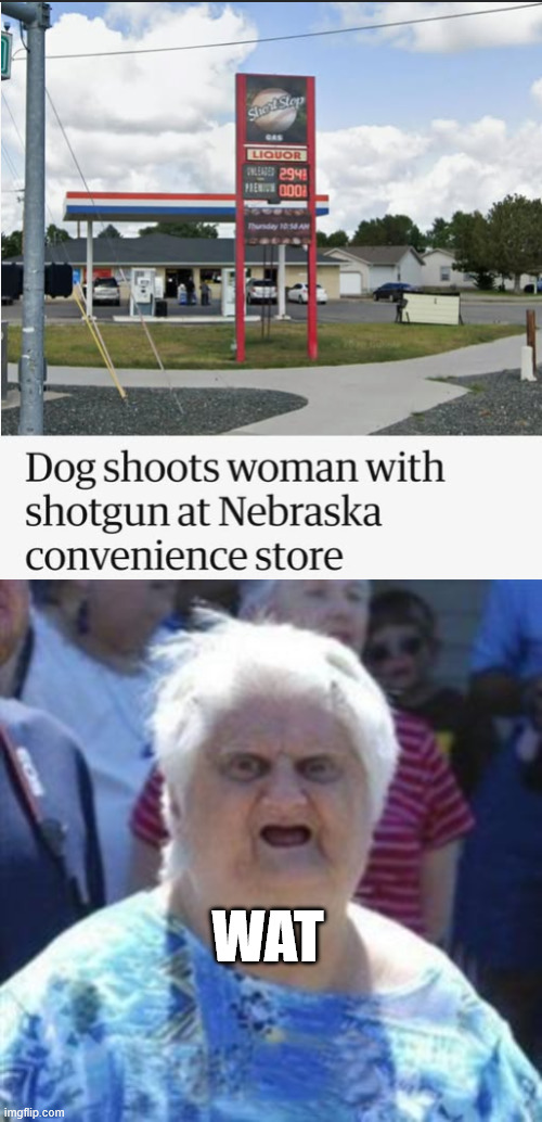 Guns don't kill people. People kill p... - wait. | Wat | image tagged in wat lady,shooting,shoot,dog | made w/ Imgflip meme maker