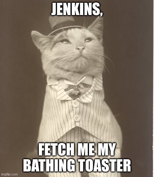 Aristocat | Jenkins, fetch me my bathing toaster | image tagged in aristocat | made w/ Imgflip meme maker