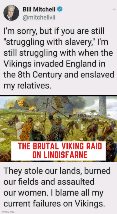 He's blaming the Vikings | image tagged in img 15 jpeg,vikings,raid,blame | made w/ Imgflip meme maker