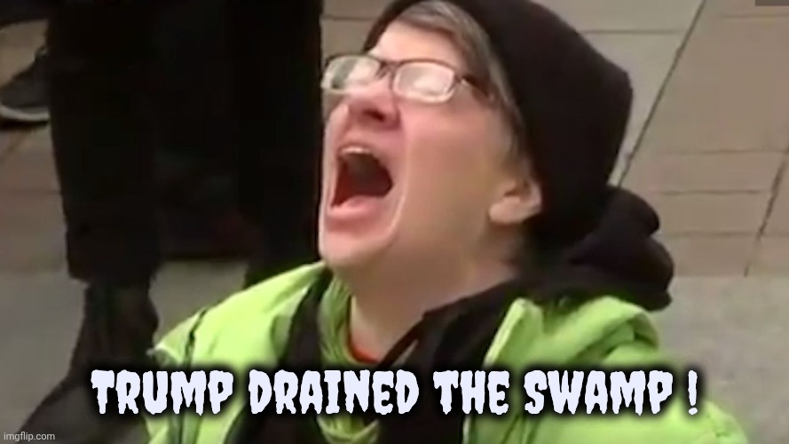 Screaming Liberal  | Trump drained the Swamp ! | image tagged in screaming liberal | made w/ Imgflip meme maker