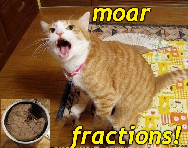 Teaching middle school math | moar; fractions! | image tagged in moar cat,math,fractions,school,middle school | made w/ Imgflip meme maker