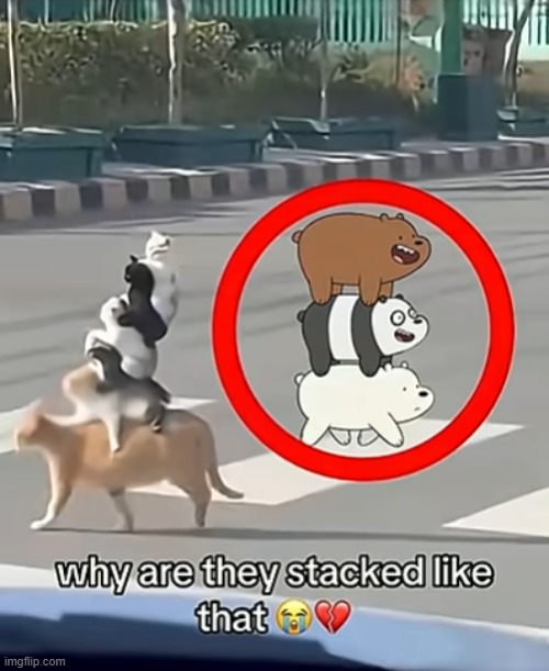 that is one strong mom | image tagged in meme | made w/ Imgflip meme maker