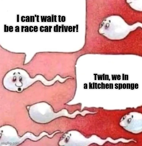 How do we tell him? | I can't wait to be a race car driver! Twin, we in a kitchen sponge | image tagged in sperm conversation,funny memes,funny | made w/ Imgflip meme maker