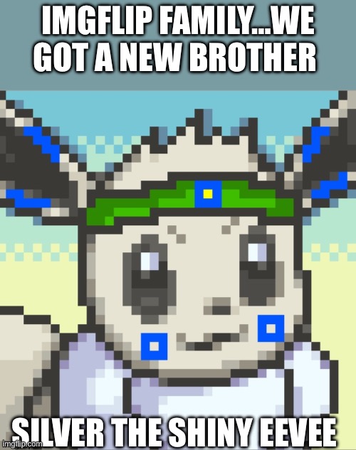 I have a Pokémon brother and a Pokémon offspring | Imgflip family…we got a new brother; Silver the Shiny Eevee | image tagged in img_2941 jpeg | made w/ Imgflip meme maker