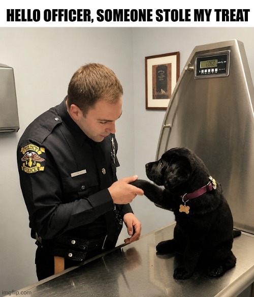 Hello Officer | Hello officer, someone stole my treat | image tagged in chrisjoines1 | made w/ Imgflip meme maker