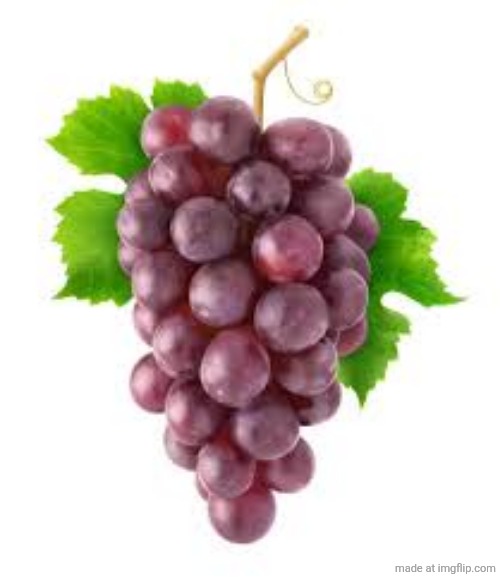 The Grapes of Forgetfulness | image tagged in the grapes of forgetfulness | made w/ Imgflip meme maker