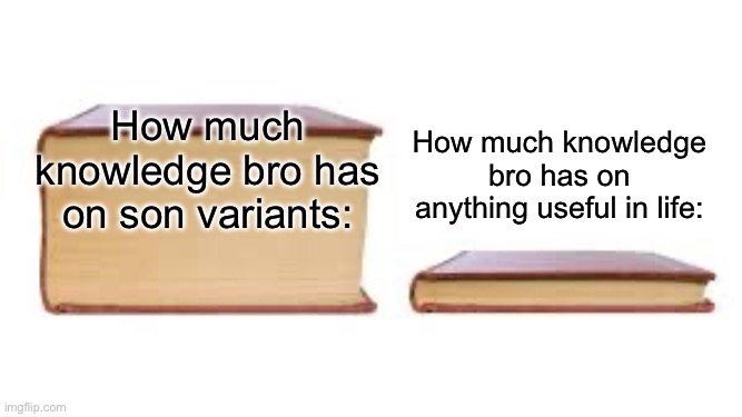 “mitosondria” SHUT UP | How much knowledge bro has on anything useful in life:; How much knowledge bro has on son variants: | image tagged in big book small book,son,funny | made w/ Imgflip meme maker