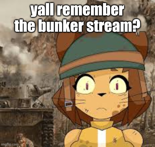 it's called The-Bunker and we can go there to plot revolution in secret ig | yall remember the bunker stream? | image tagged in kit 1000 yard stare | made w/ Imgflip meme maker