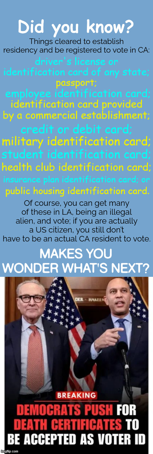 Everything but proof of citizenship | Things cleared to establish residency and be registered to vote in CA:; driver's license or identification card of any state;; passport;; employee identification card;; identification card provided by a commercial establishment;; credit or debit card;; military identification card;; student identification card;; health club identification card;; insurance plan identification card; or; public housing identification card. Of course, you can get many of these in LA, being an illegal alien, and vote; if you are actually a US citizen, you still don’t have to be an actual CA resident to vote. Makes you wonder what's next? | image tagged in did you know,the cheat is on,dems cheating again | made w/ Imgflip meme maker