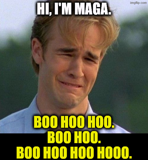 Boo hoo. Does feel sorry for himself, doesn't he? | Hi, I'm MAGA. Boo hoo hoo.
Boo hoo.
Boo hoo hoo hooo. | image tagged in 1990s first world problems,maga,crying,whining,lying,snowflakes | made w/ Imgflip meme maker