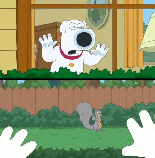High Quality Family Guy Squirrel flipping off Brian Blank Meme Template