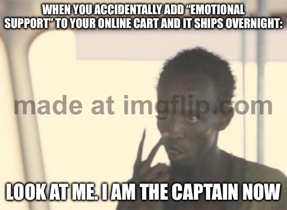WHEN YOU ACCIDENTALLY ADD “EMOTIONAL SUPPORT” TO YOUR ONLINE CART AND IT SHIPS OVERNIGHT | WHEN YOU ACCIDENTALLY ADD “EMOTIONAL SUPPORT” TO YOUR ONLINE CART AND IT SHIPS OVERNIGHT:; LOOK AT ME. I AM THE CAPTAIN NOW | image tagged in memes,i'm the captain now,online shopping,shopping cart,shopping,emotional damage | made w/ Imgflip meme maker