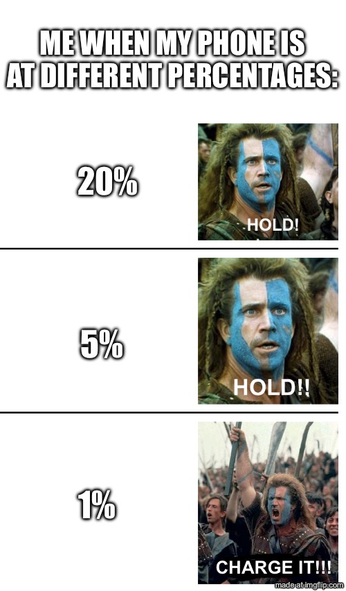 gotta wait till the last percentage | me when my phone is at different percentages:; 20%; 5%; 1%; charge it!!! | image tagged in hold hold now,funny,phone,battery,memes | made w/ Imgflip meme maker