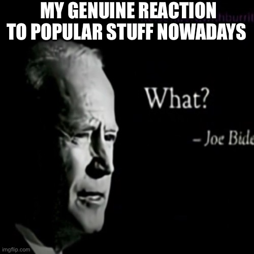my genuine reaction to popular stuff nowadays | image tagged in memes,joe biden | made w/ Imgflip meme maker