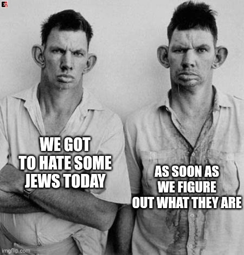 We got to hate some Jews today As soon as we figure out what they are | image tagged in inbred twins | made w/ Imgflip meme maker
