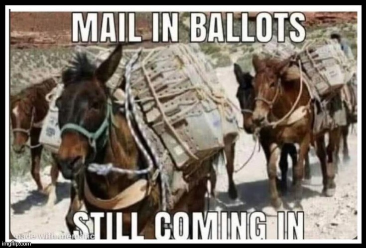Demorhhoid vote fraud | image tagged in demorhhoid vote fraud | made w/ Imgflip meme maker