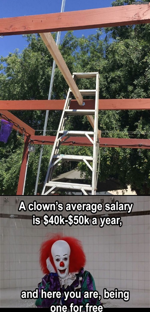 A Clown For Free | image tagged in clowns,duhhh dumbass,dude you're an idiot,do you are have stupid,epic fail,just why | made w/ Imgflip meme maker