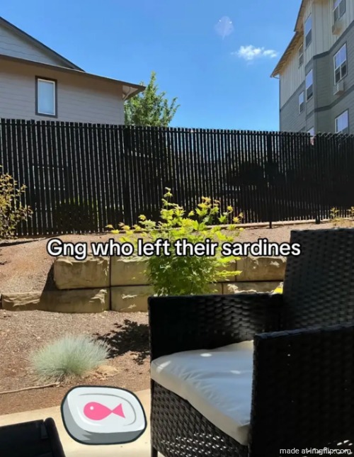 . | made w/ Imgflip meme maker