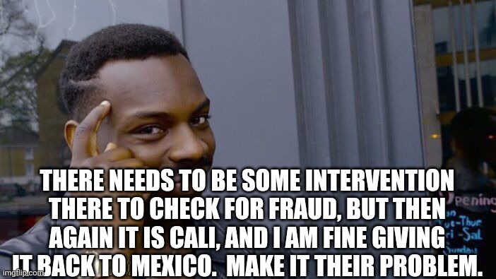 Roll Safe Think About It Meme | There needs to be some intervention there to check for fraud, but then again it is Cali, and I am fine giving it back to mexico.  Make it th | image tagged in memes,roll safe think about it | made w/ Imgflip meme maker
