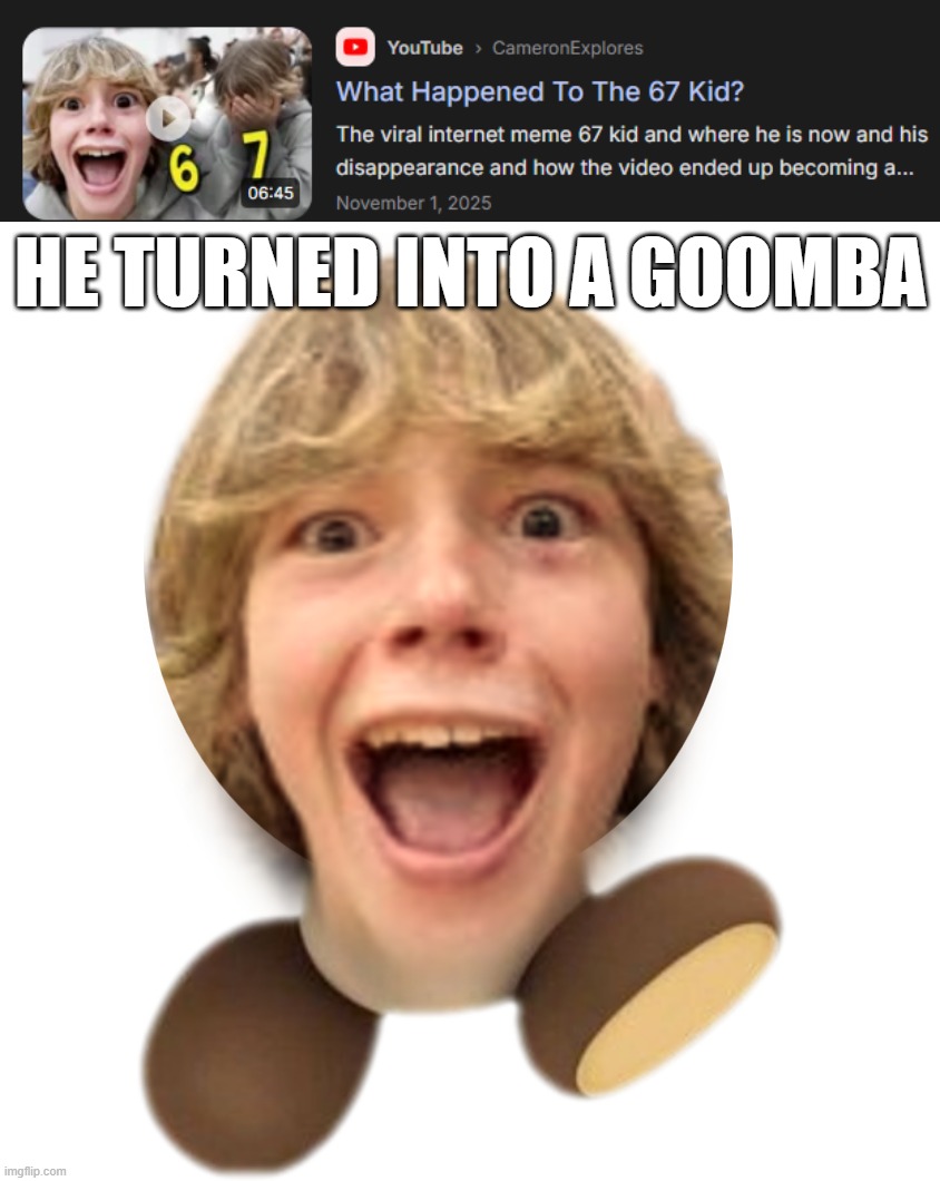 Return of the Satire | he turned into a goomba | image tagged in 67 kid goomba | made w/ Imgflip meme maker