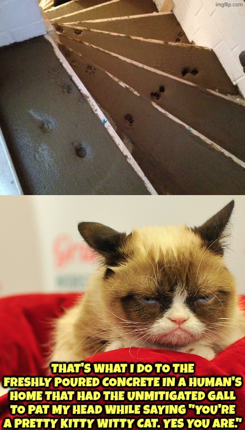 The Unmitigated Gall | That's what I do to the freshly poured concrete in a human's home that had the unmitigated gall to pat my head while saying "You're a pretty kitty witty cat. Yes you are." | image tagged in cats,grumpy cat,revenge,angry cat,stairs,the lion the witch and the audacity of this bitch | made w/ Imgflip meme maker