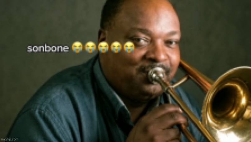 sonbone | image tagged in sonbone | made w/ Imgflip meme maker