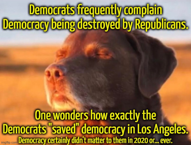 How can anyone say the Los Angeles election was honest? | Democrats frequently complain Democracy being destroyed by Republicans. One wonders how exactly the Democrats "saved" democracy in Los Angeles. Democracy certainly didn't matter to them in 2020 or... ever. | image tagged in democrats don't give a crap about democracy,voter fraud is democrat standard operating procedure | made w/ Imgflip meme maker