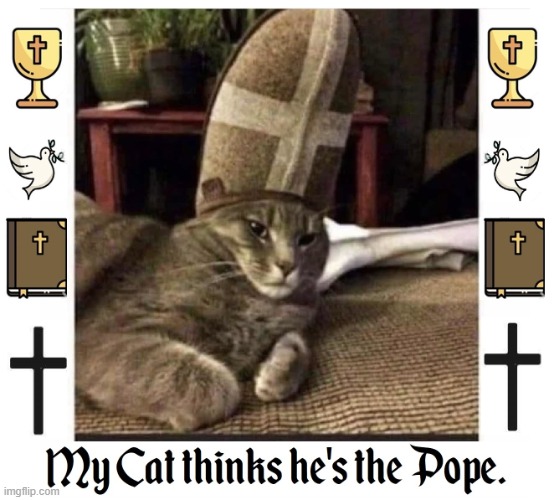 Where's my Papal Mitre? Oh, on my head | image tagged in vince vance,cats,funny cat memes,catholic church,the pope,religious | made w/ Imgflip meme maker