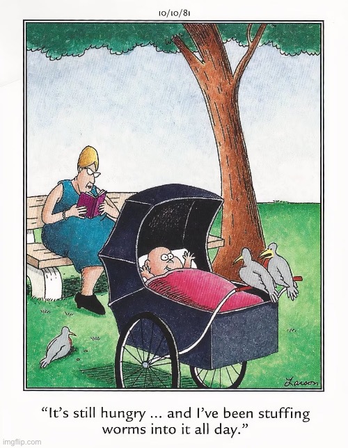 Birds feeding a human baby | image tagged in the far side,comics,mother,baby,birds,worms | made w/ Imgflip meme maker