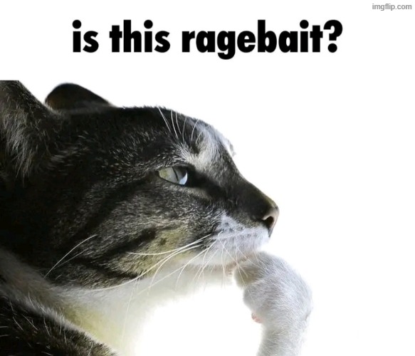 Is this ragebait? | image tagged in is this ragebait | made w/ Imgflip meme maker