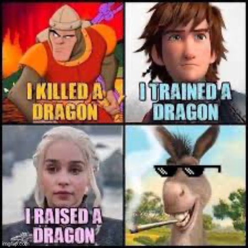 Bros wtf | image tagged in bros,wtf,fun,donkey from shrek,shrek,dragon | made w/ Imgflip meme maker