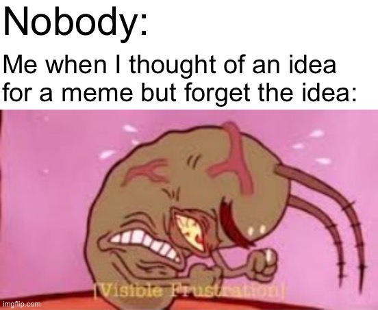 Visible Frustration | Nobody:; Me when I thought of an idea for a meme but forget the idea: | image tagged in visible frustration,memes,relatable | made w/ Imgflip meme maker