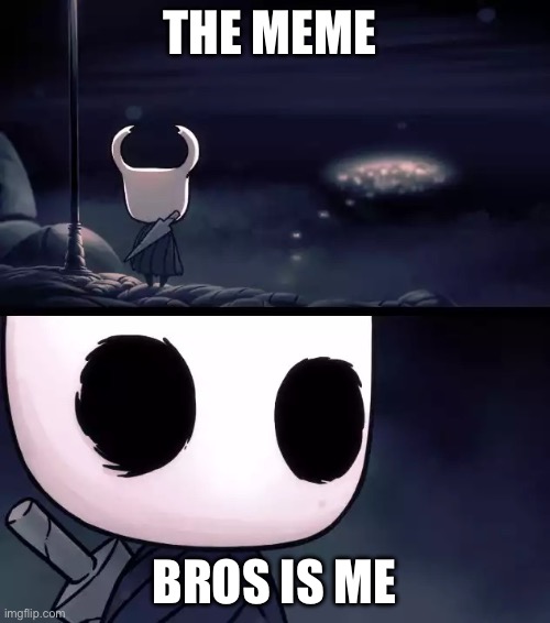 The meme Bros is me | image tagged in holy shit hollow knight | made w/ Imgflip meme maker
