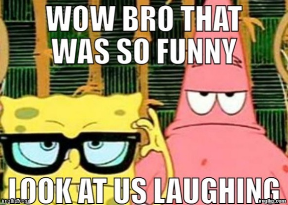 wow bro that was so funny; look at us laughing | image tagged in wow bro that was so funny look at us laughing | made w/ Imgflip meme maker