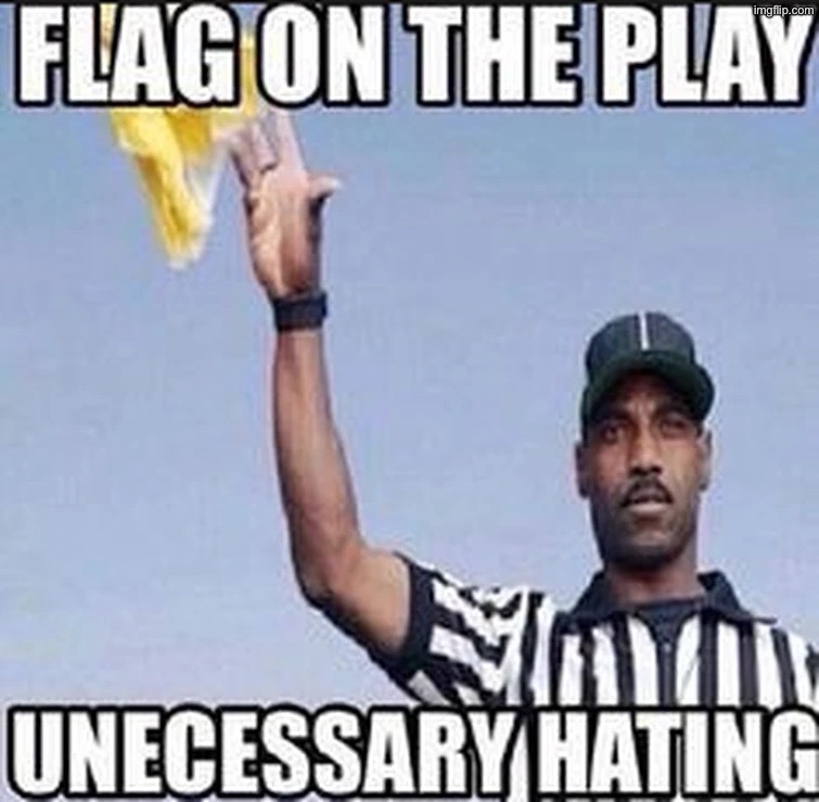 Flag on the play: Unnecessary hating | image tagged in flag on the play unnecessary hating | made w/ Imgflip meme maker