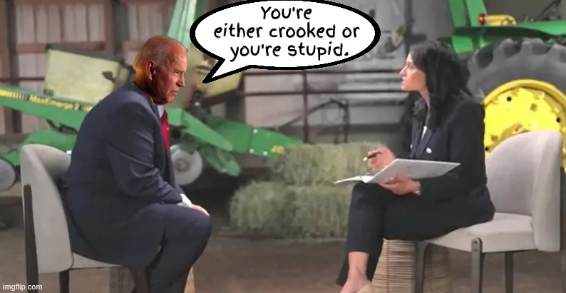 Would you believe | You're 
either crooked or 
you're stupid. You're 
either crooked or 
you're stupid. | image tagged in meat the press,the election was rigged,take care darling,i love farmers,would you believe | made w/ Imgflip meme maker