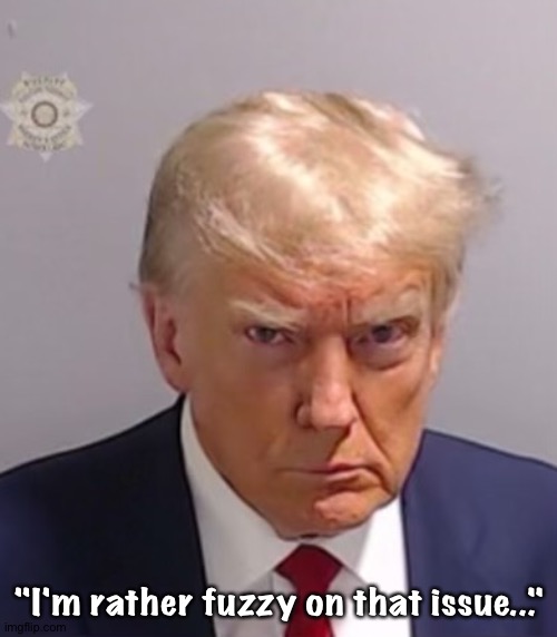 Donald Trump Mugshot | "I'm rather fuzzy on that issue..." | image tagged in donald trump mugshot | made w/ Imgflip meme maker