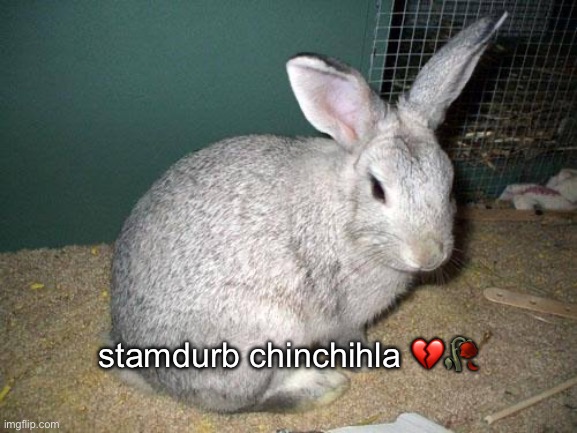 stamdurb chinchihla 💔🥀 | made w/ Imgflip meme maker
