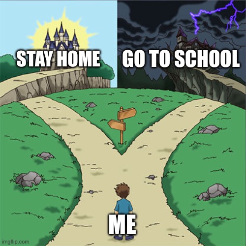 Two Paths | Go to school; Stay home; Me | image tagged in two paths | made w/ Imgflip meme maker