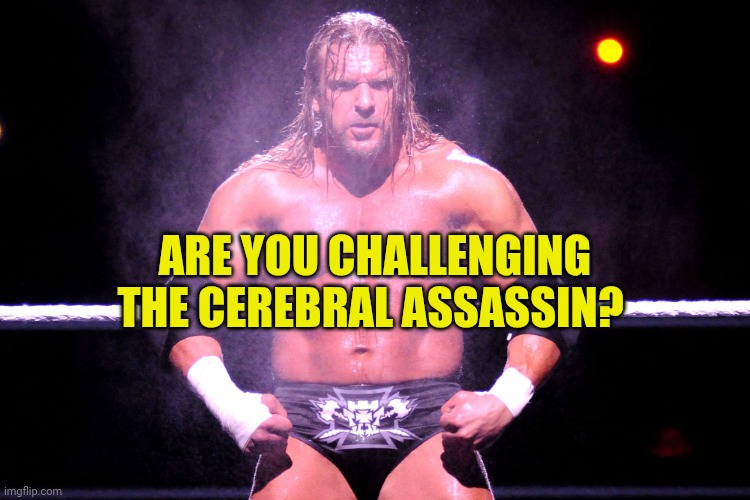 Triple H | Are you challenging the cerebral assassin? | image tagged in triple h | made w/ Imgflip meme maker
