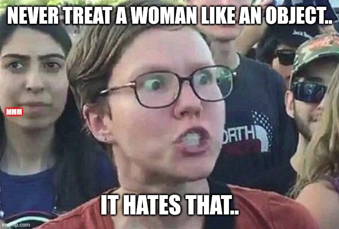 Triggered Liberal | Never treat a woman like an object.. MMM; It hates that.. | image tagged in triggered liberal | made w/ Imgflip meme maker