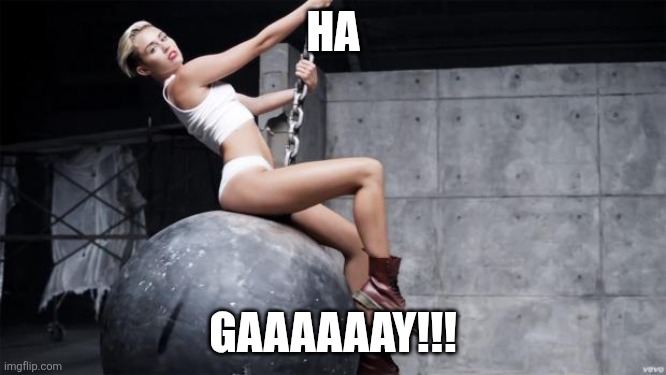miley cyrus wreckingball | Ha Gaaaaaay!!! | image tagged in miley cyrus wreckingball | made w/ Imgflip meme maker