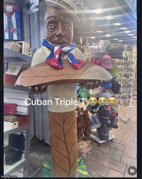 It’s him | image tagged in img_2288 jpeg | made w/ Imgflip meme maker