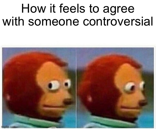 Monkey Puppet Meme | How it feels to agree with someone controversial | image tagged in memes,monkey puppet | made w/ Imgflip meme maker